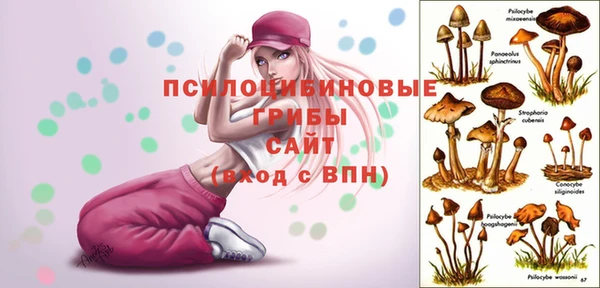 стаф Богородицк